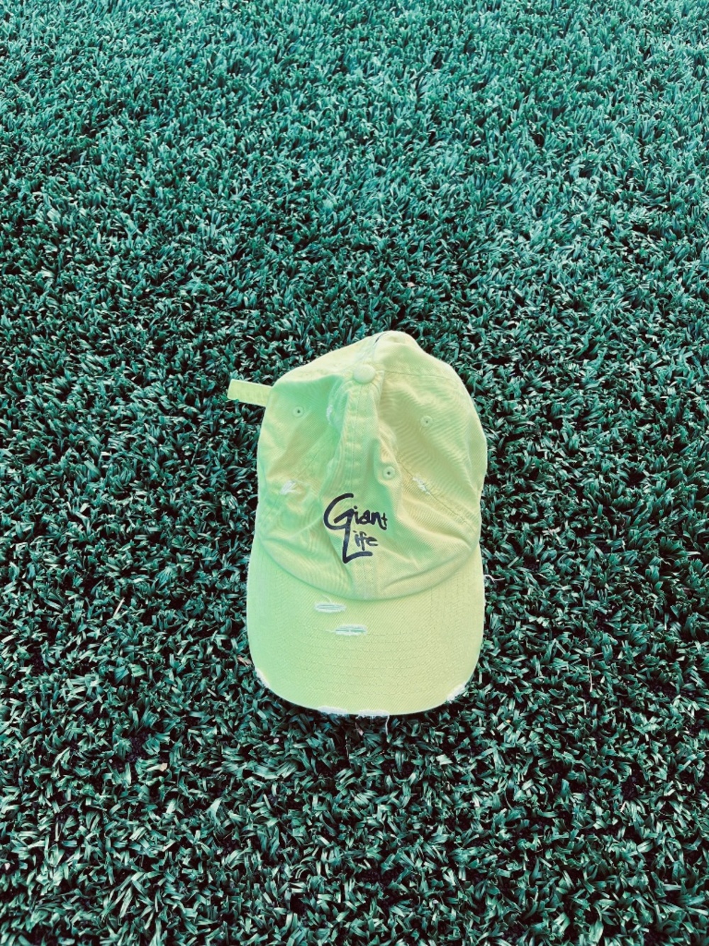 Baseball Hat